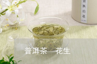 普洱茶 花生/2023042820318